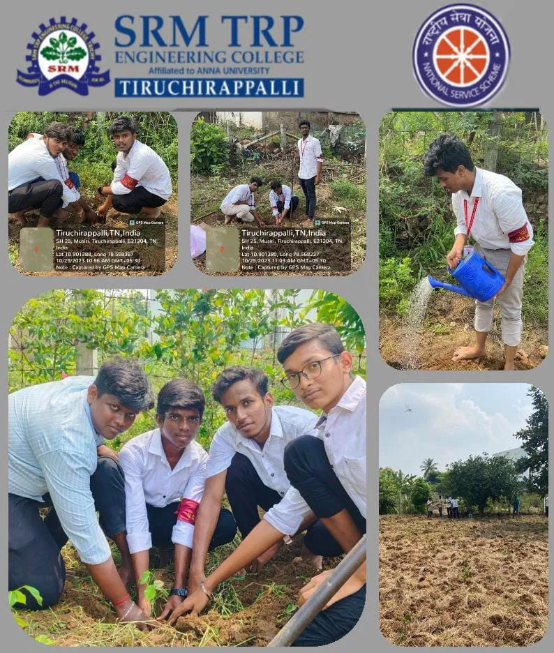 Tree plantation